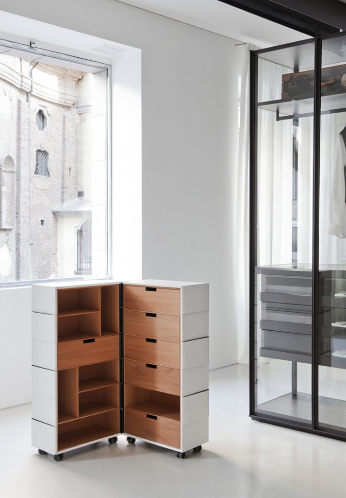 chameleon FRONT PORRO 2013 LYON chameleon FRONT PORRO 2013 LYON