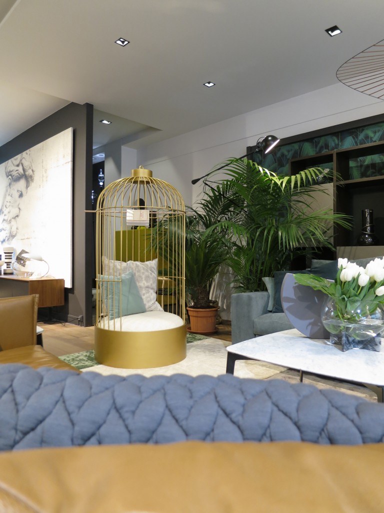 cage_anouchka_potdevin cage_anouchka_potdevin